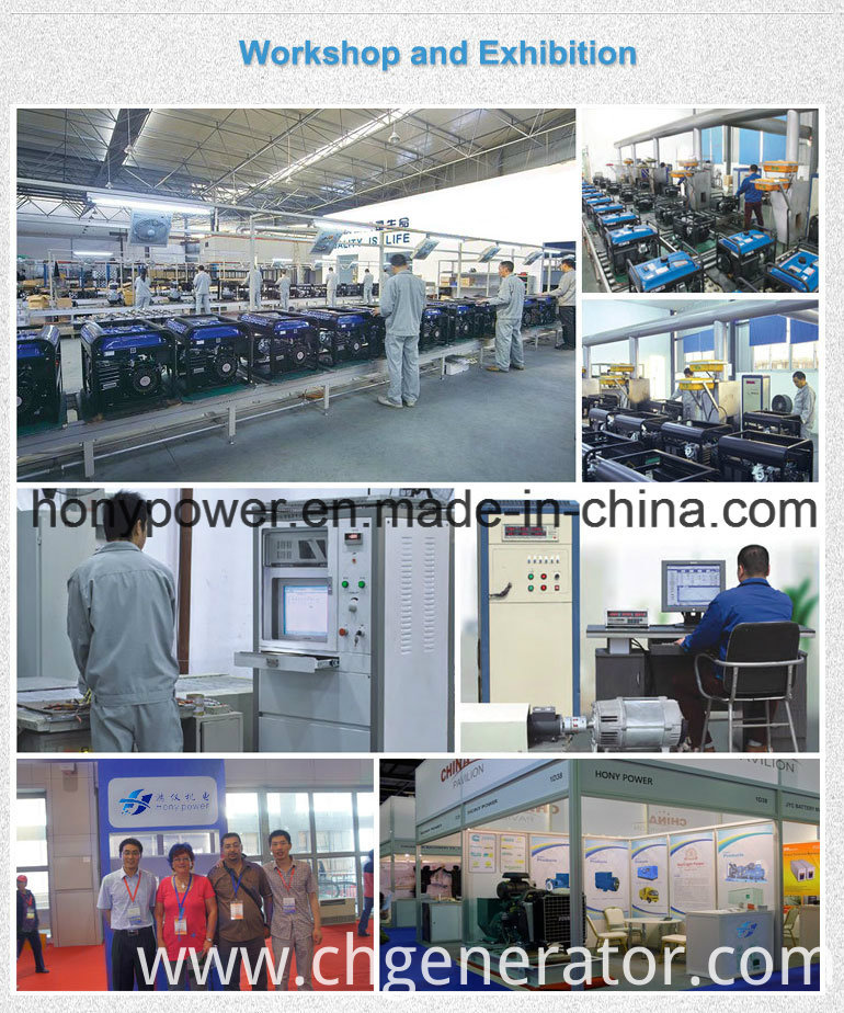 (China) Super Tiger 950 DC Gasoline Generator Portable